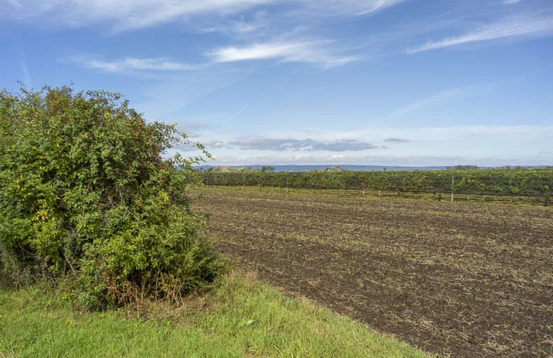 Acreage Clearing in Salt Lake City, UT