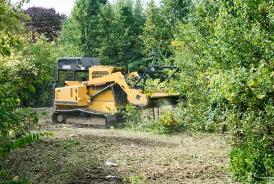 Farm Clearing in Katy, TX