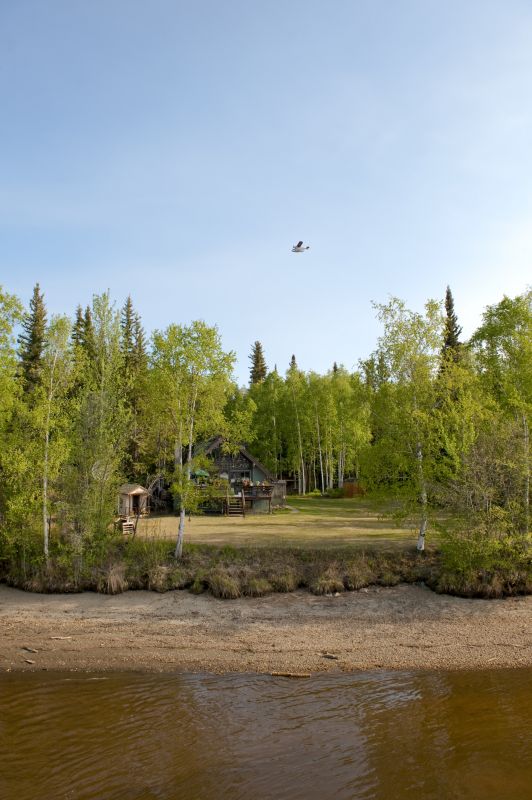 Site Preparation After Clearing