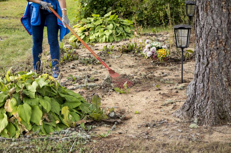 Site Preparation Service in Gwinnett County, GA