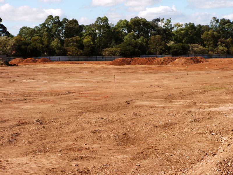 Custom Land Clearing Solutions