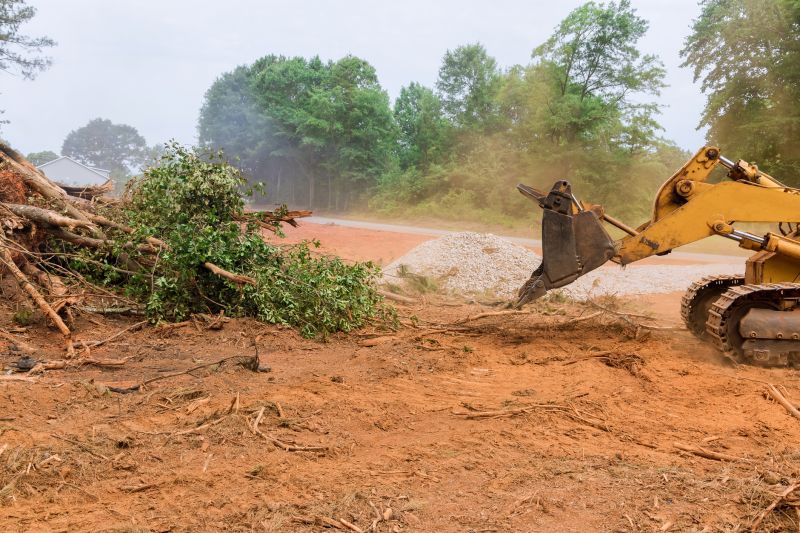 Professional Land Clearing Contractors