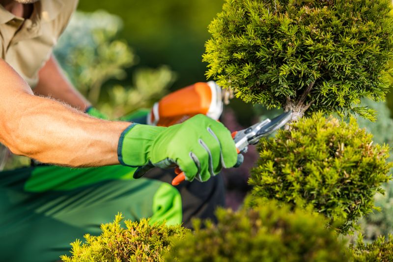 Local Landscaping Businesses