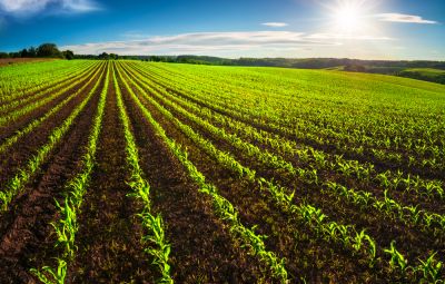 Land Clearing for Agriculture!